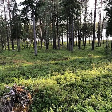 Rukan Honka Ruka